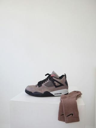 Air Jordan 4 Retro 'Taupe Haze' DB0732-200