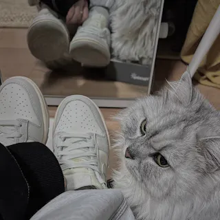 (Women) Nike Dunk Low 'Light Bone' DD1503-107 (Women) Nike Dunk Low 'Light Bone' DD1503-107
