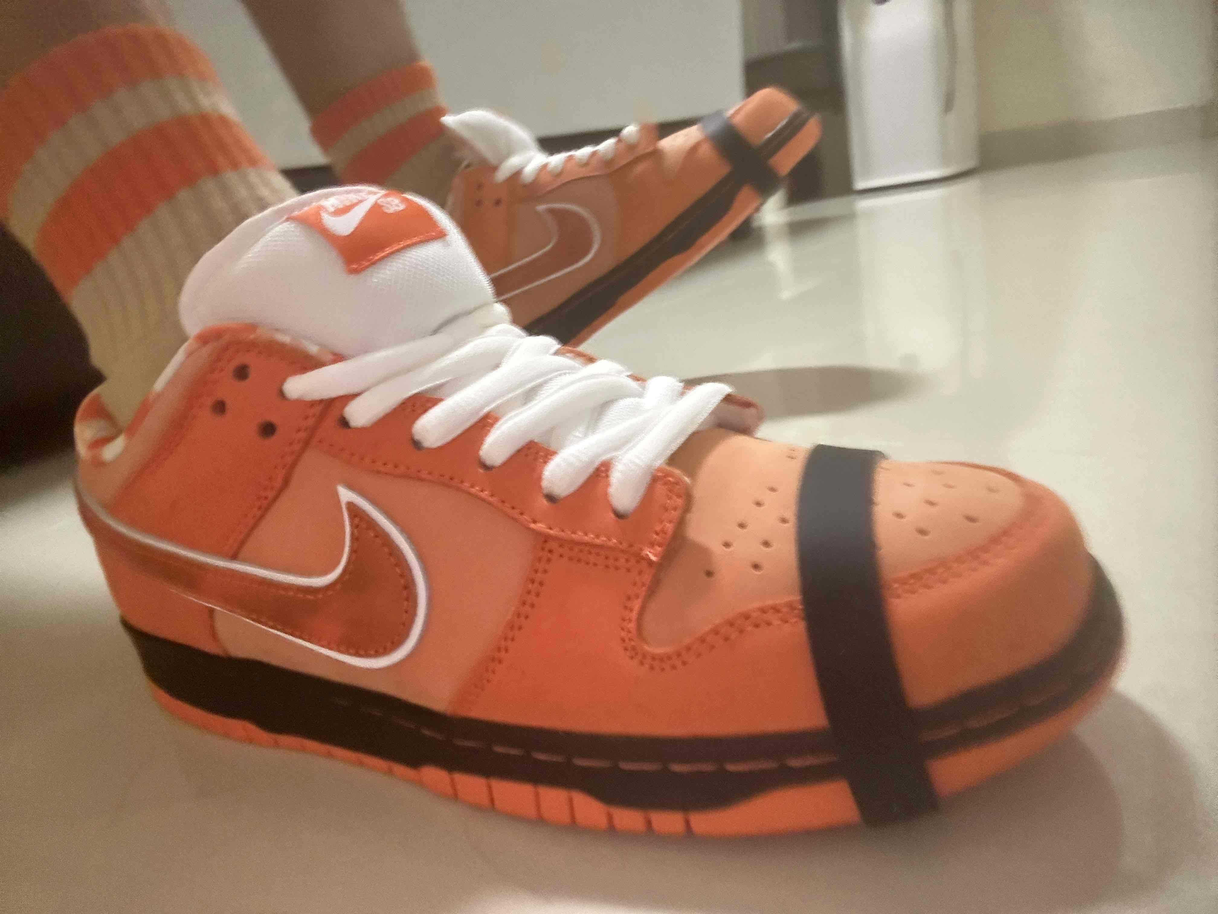 Concepts x Nike SB Dunk Low SP 'Orange Lobster' FD8776-800