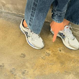 New Balance 860 v2 OG 'White Silver' ML860XB