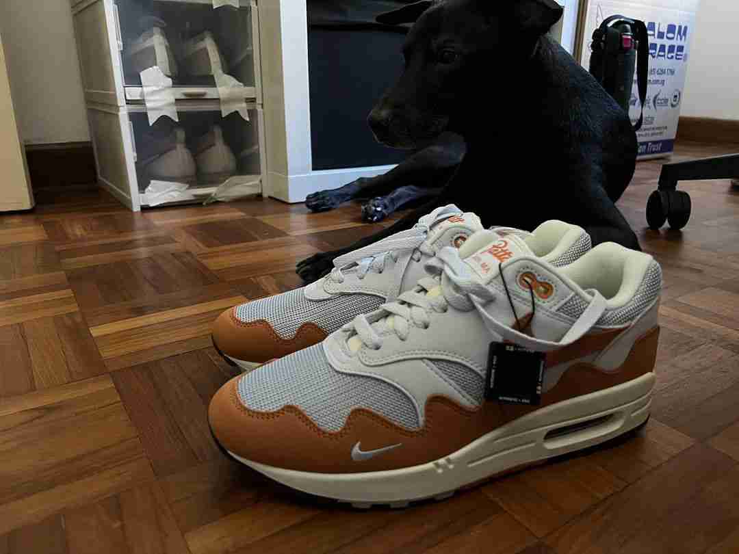 Patta x Nike Air Max 1 'Monarch' (With Bracelet) - DH1348-001-WB