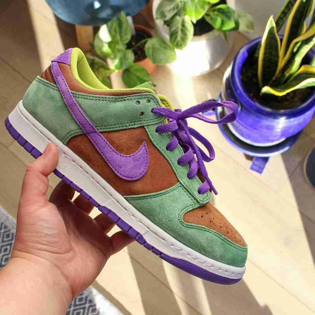 Nike Dunk Low SP Retro 'Veneer' 2020 DA1469-200