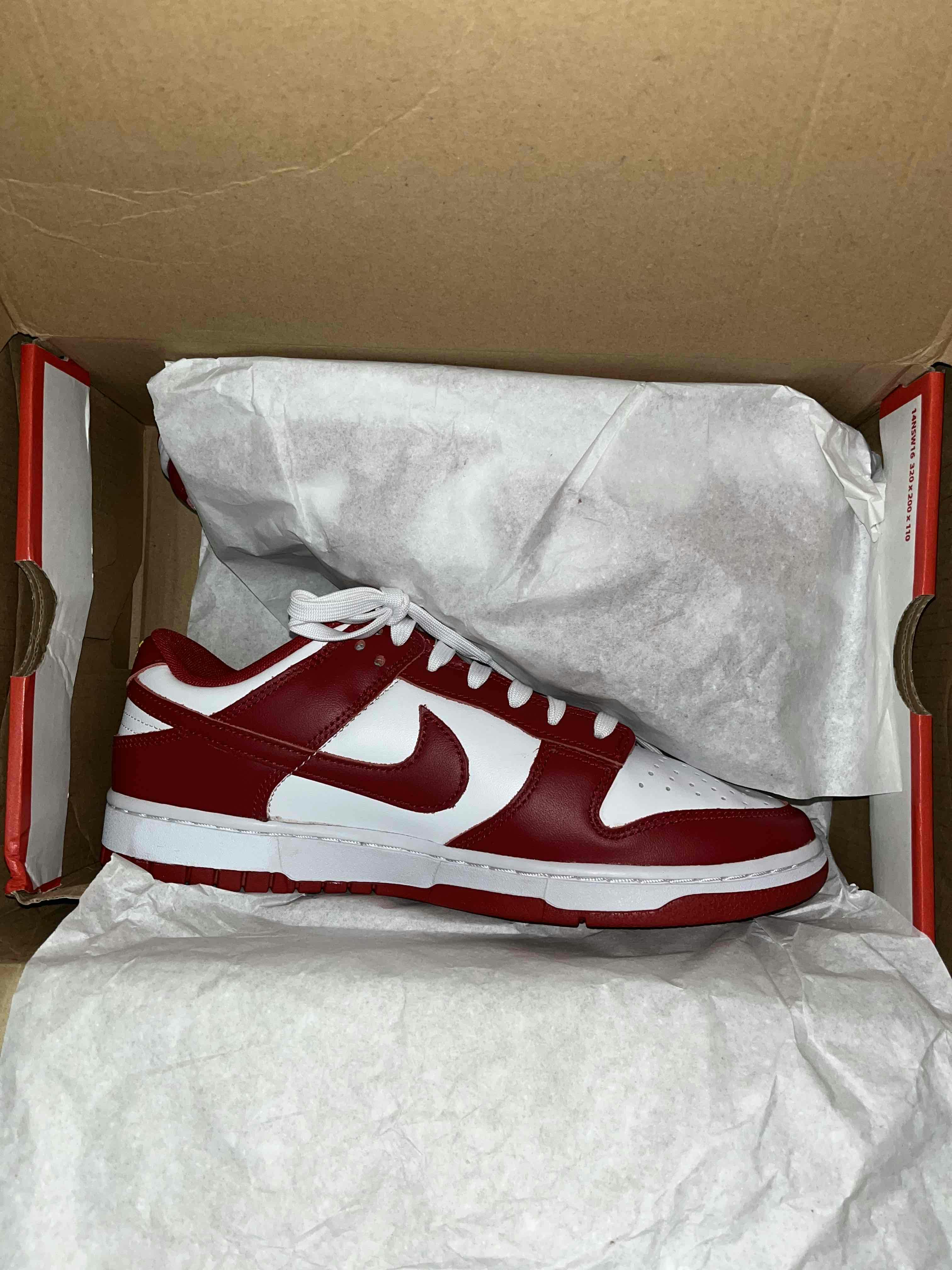 Nike Dunk Low 'Gym Red' [also worn by BTS Suga] DD1391-602