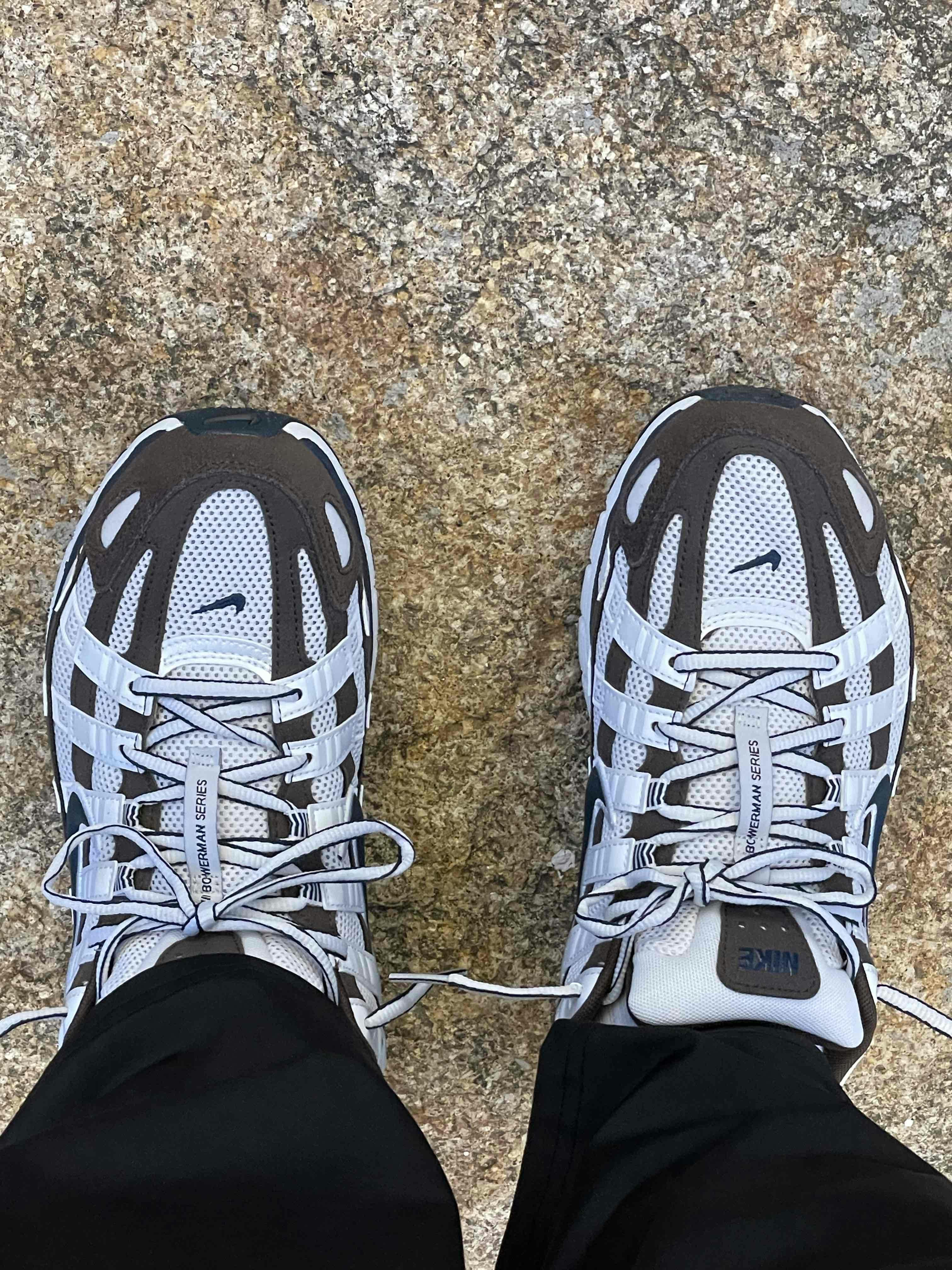 (Women) Nike P-6000 'Baroque Brown' HV8972-001