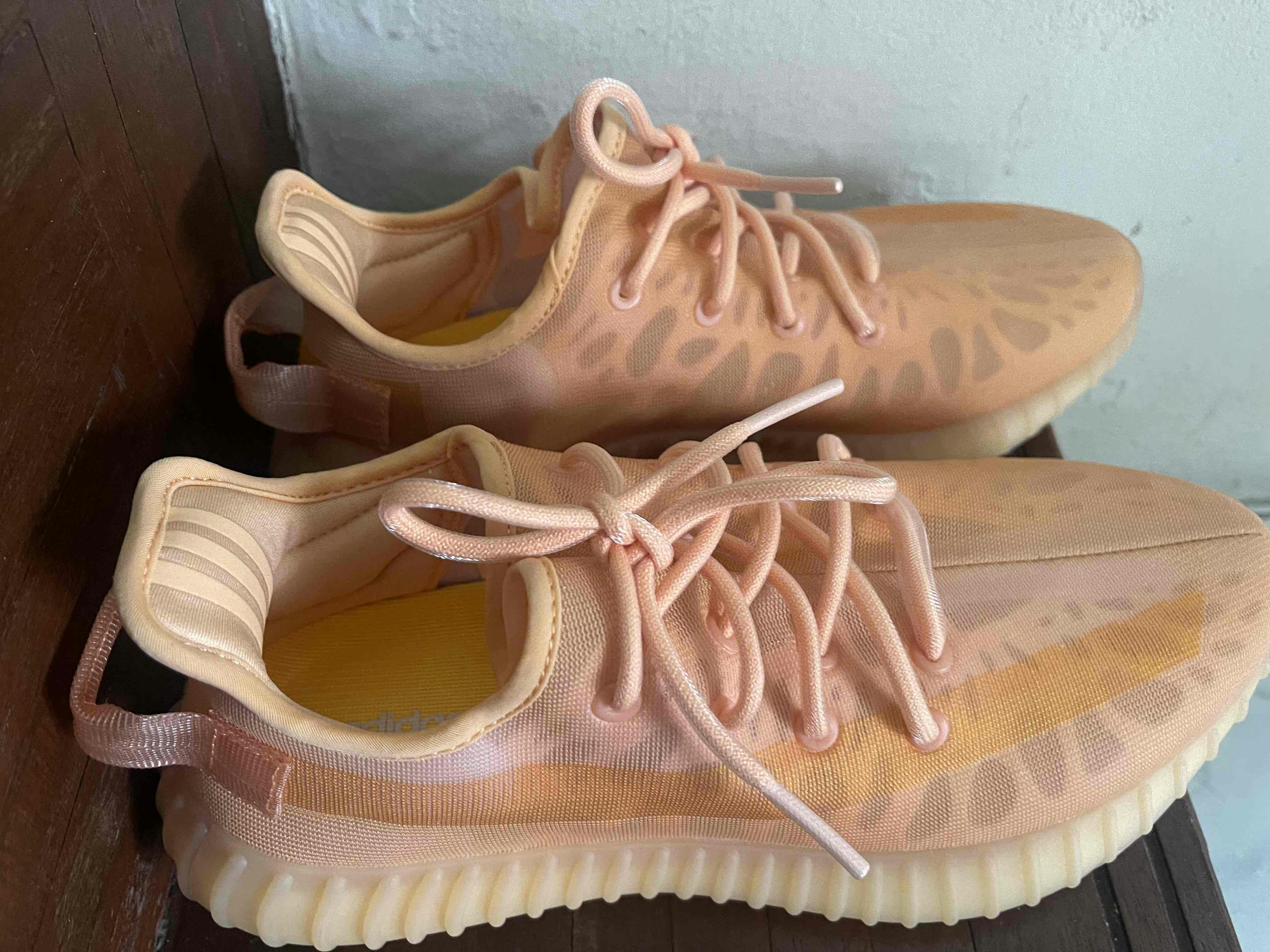 adidas Yeezy Boost 350 V2 'Mono Clay' GW2870