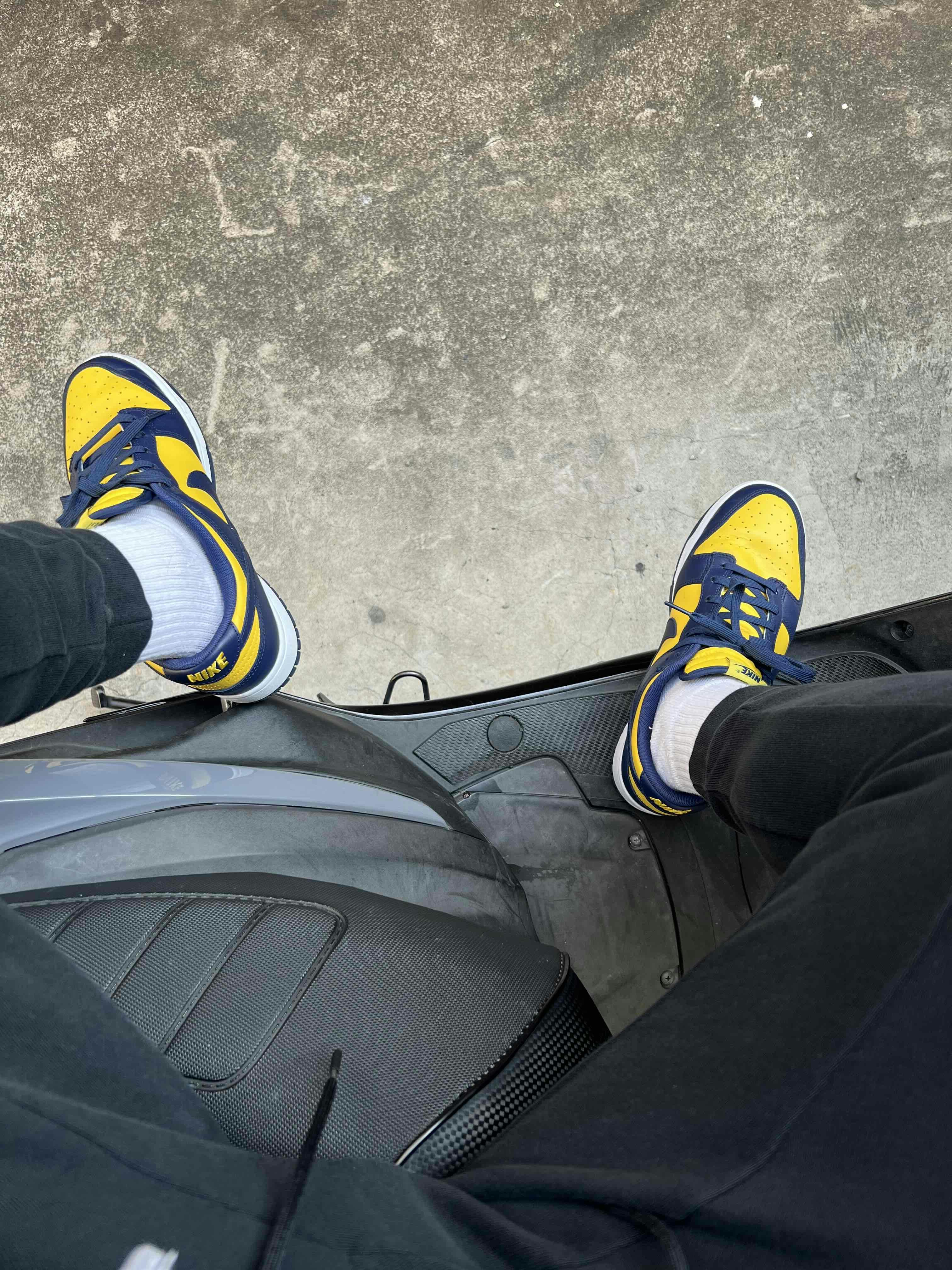 Nike Dunk Low 'Michigan' 2021 DD1391-700