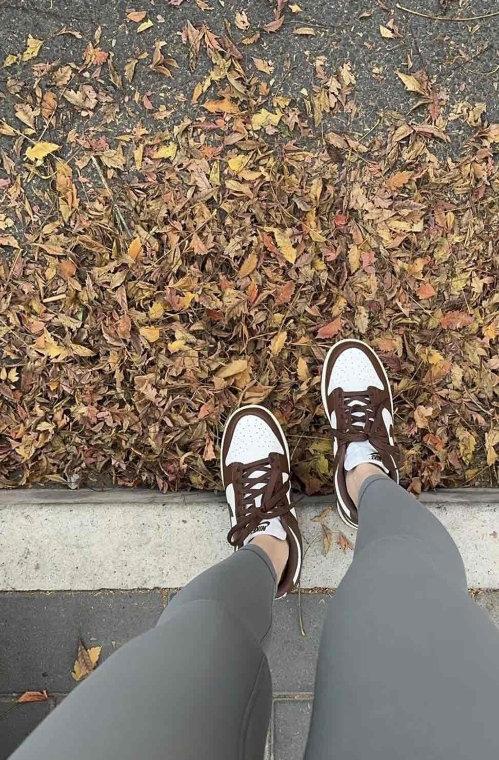 Nike Dunk Low 'Team Red' DD1391-601 Nike Dunk Low 'Team Red' DD1391-601