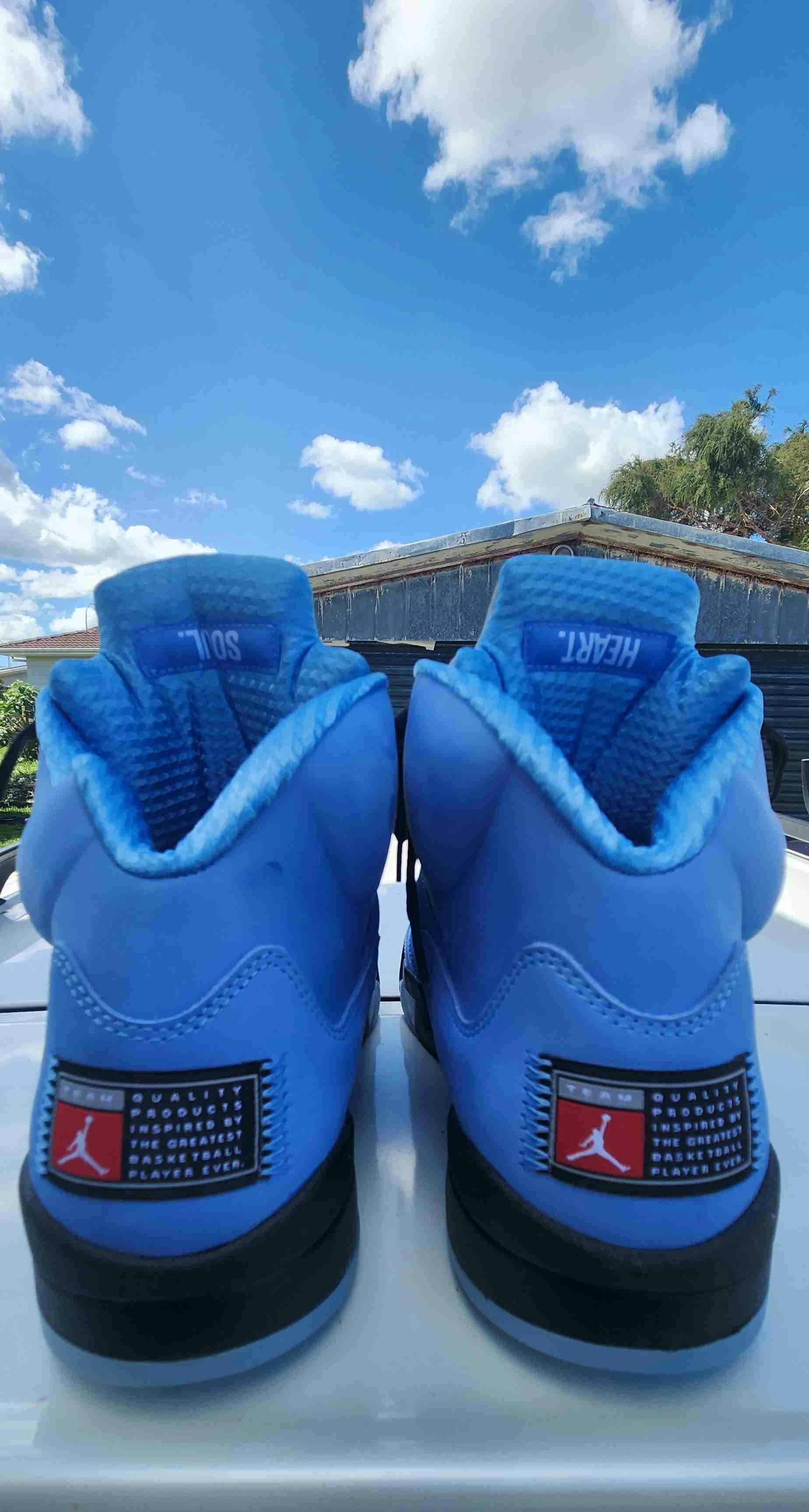 Air Jordan 5 'UNC' DV1310-401