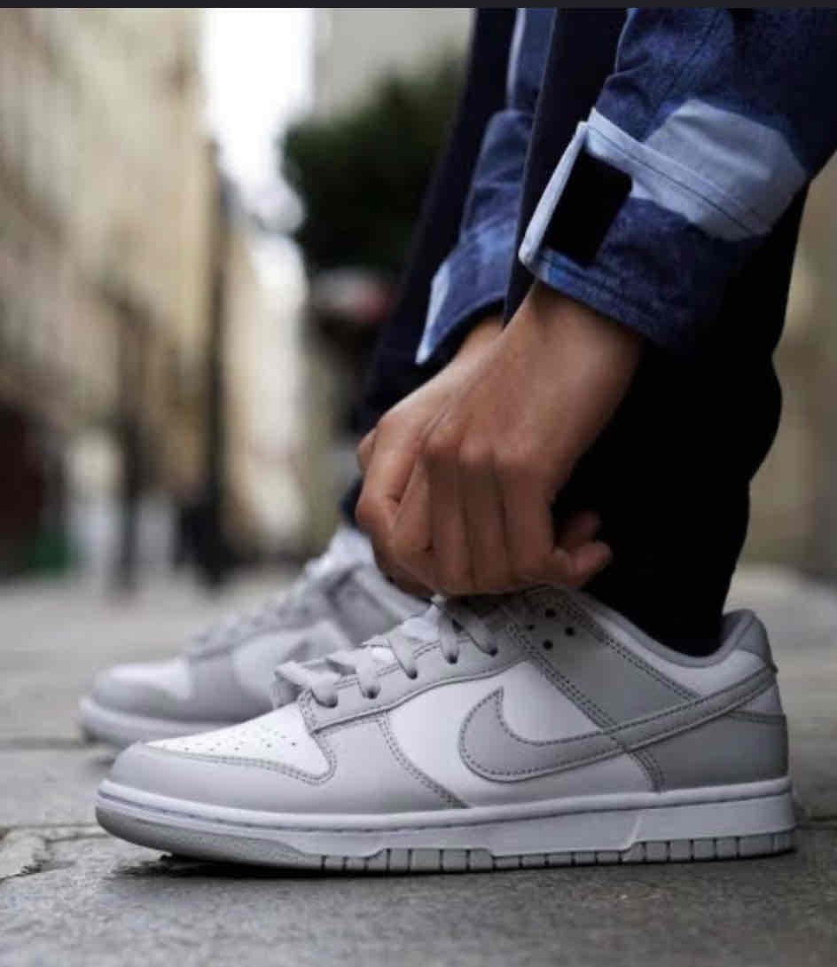 Nike Dunk Low 'Grey Fog' DD1391-103