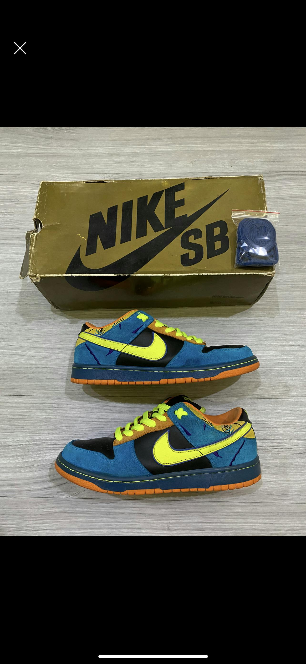 Nike SB Dunk Low Pro 'Skate Or Die' 304292-073