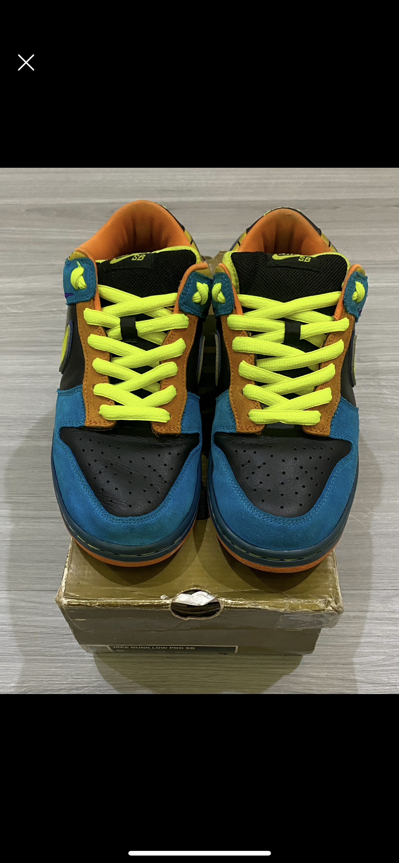 Buy Nike SB Dunk Low Pro 'Skate Or Die' 304292-073 - Novelship