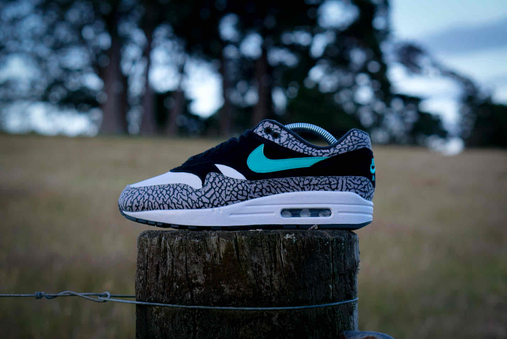 atmos x Nike Air Max 1 Retro 'Elephant' 2017