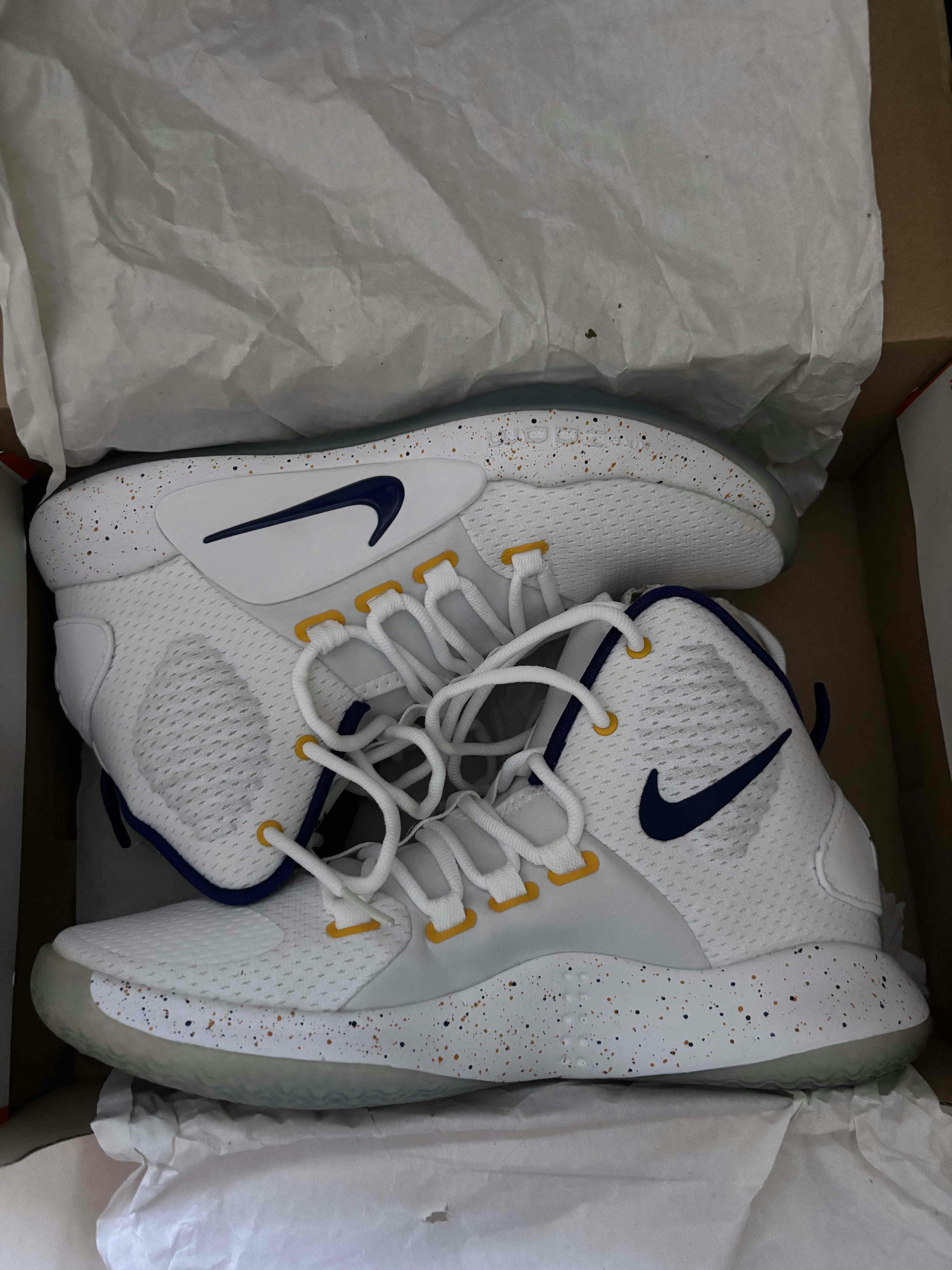 Nike Hyperdunk X EP 'White Regency Purple' DZ2775-151
