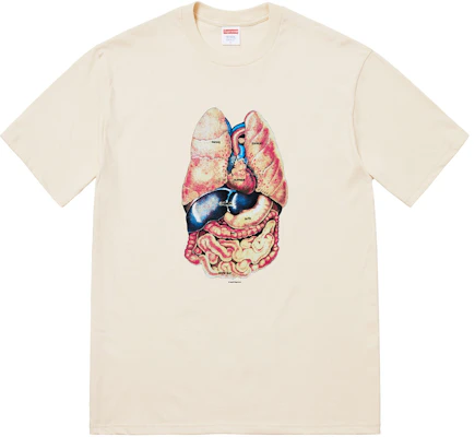 Supreme Guts Tee Natural Buy Supreme Guts Tee Natural