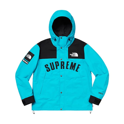Supreme TNF Arc Logo Mountain Parka Teal