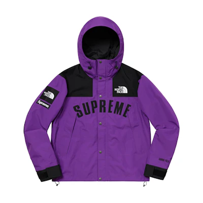 Supreme TNF Arc Logo Mountain Parka Purple