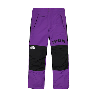 Supreme x The North Face Arc Logo Mountain Pant Purple