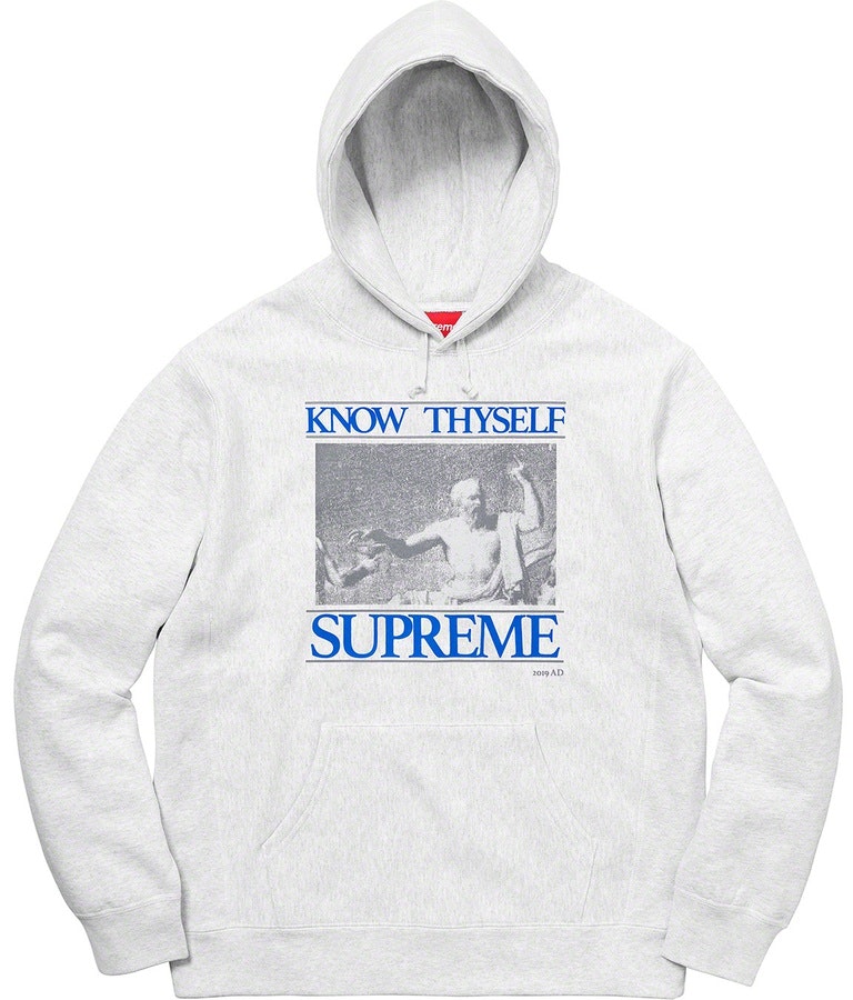 Supreme Know Thyself Hooded Sweatshirt Ash Grey - Novelship