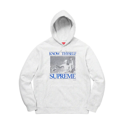 Supreme Know Thyself Hooded Sweatshirt Ash Grey