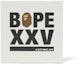 Buy BAPE Japanese XXV Paper Panel White Black
