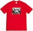 Buy Supreme×ヴェルヴェッツ 赤T