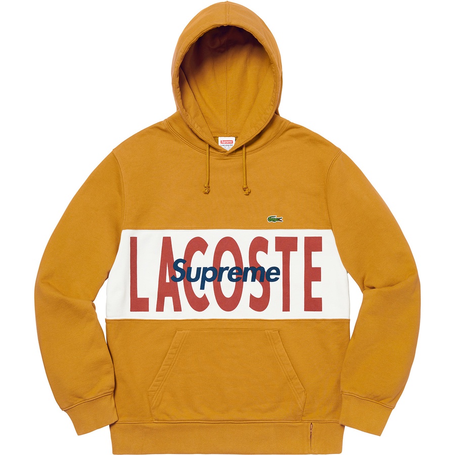 新品　Lacoste Logo Panel Hooded Sweatshirt
