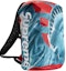 Order Supreme x The North Face Statue of Liberty Waterproof Backpack Red