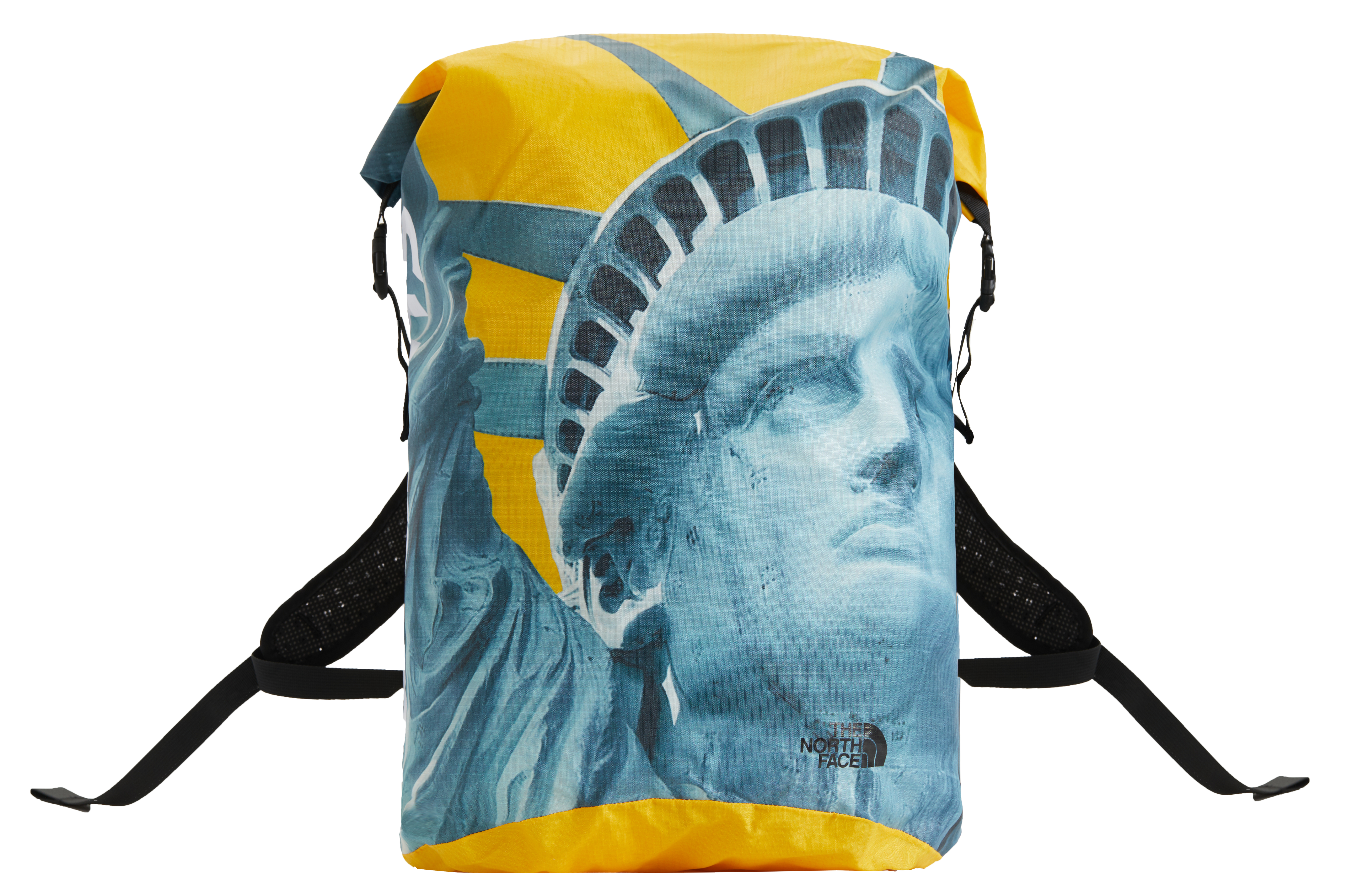 Supreme tnf statue of best sale liberty backpack