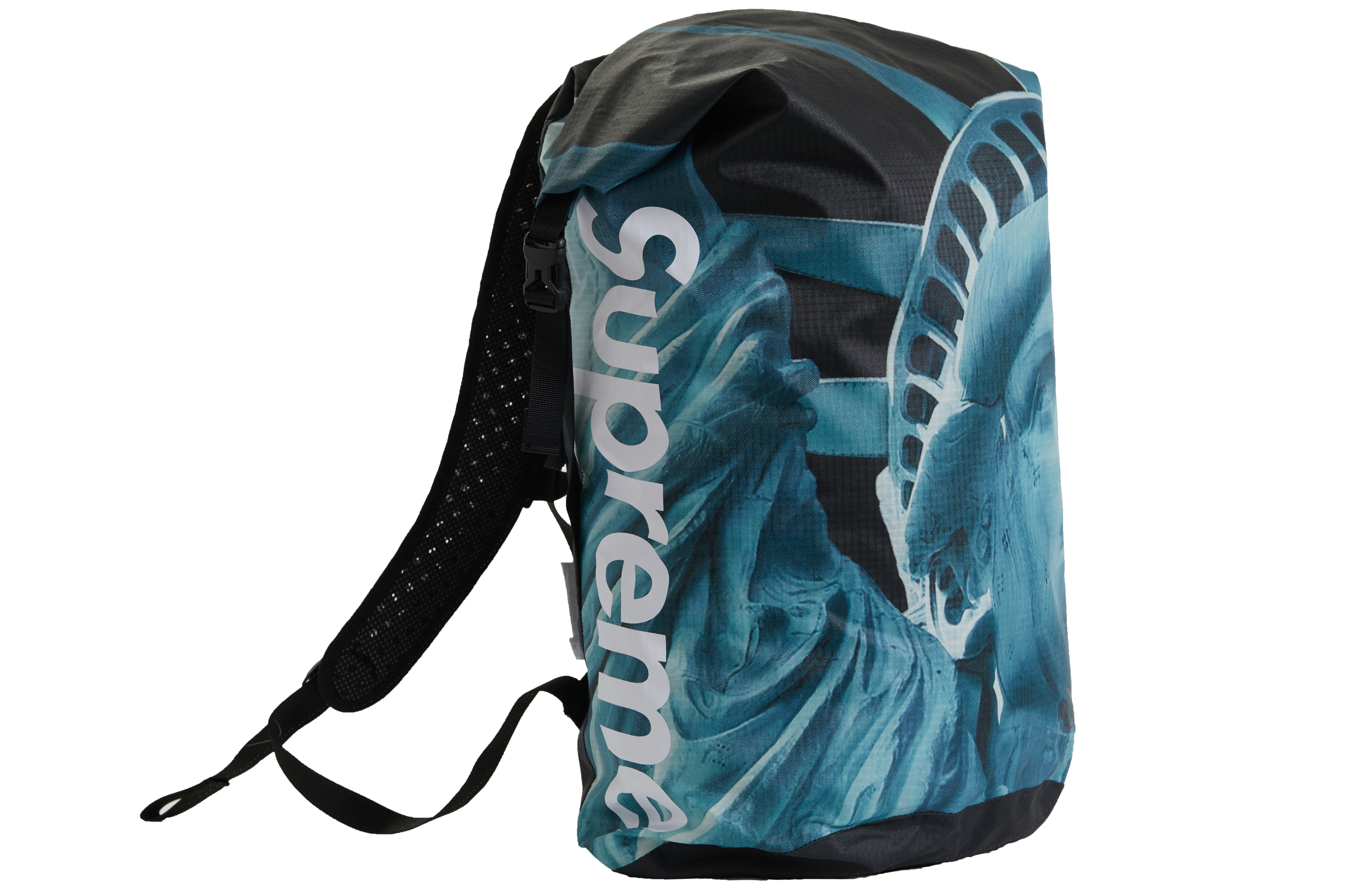 Supreme x The North Face Statue of Liberty Waterproof Backpack