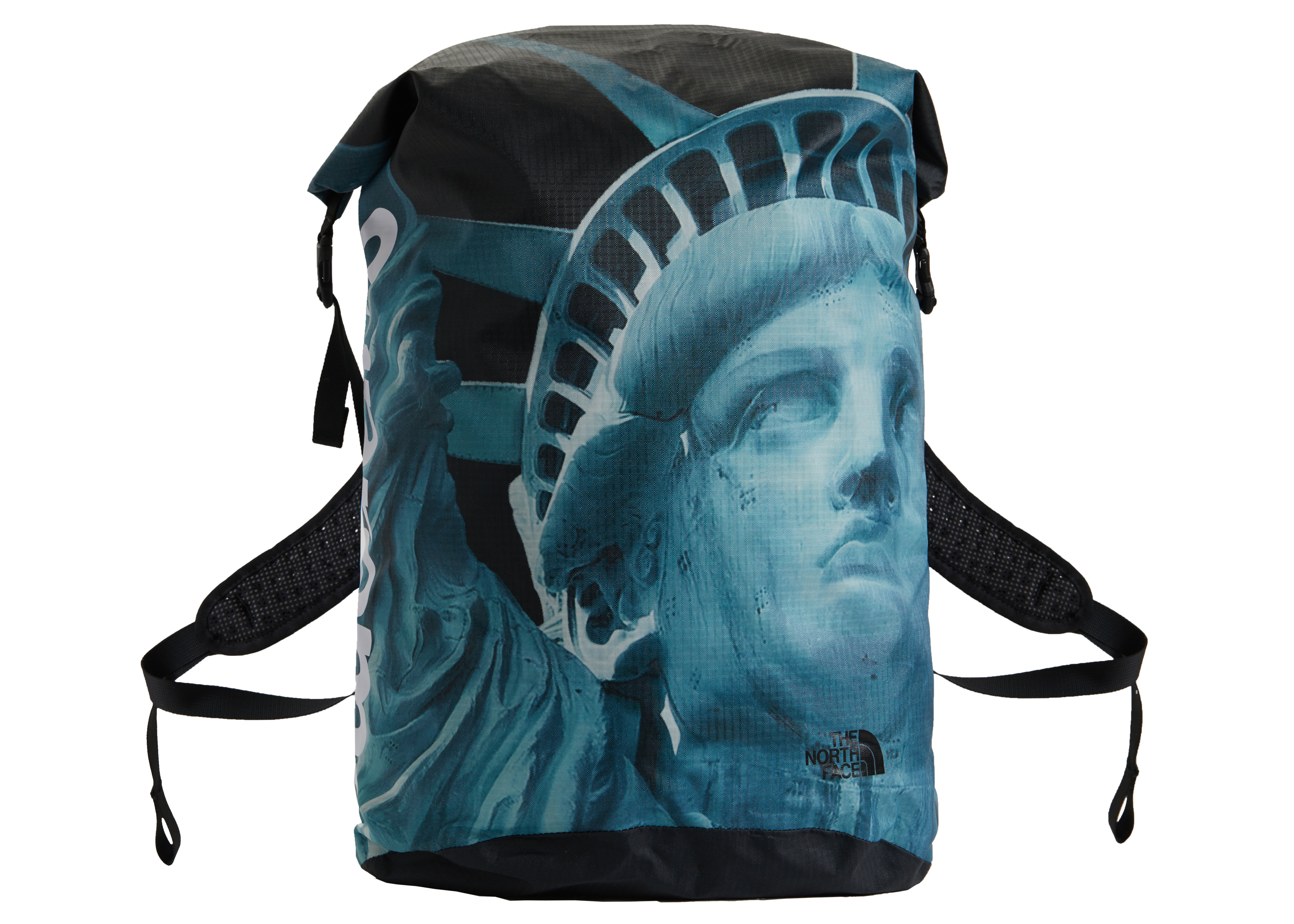 Supreme x The North Face Statue of Liberty Waterproof Backpack ...