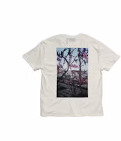 Order Camiseta Blanca Fear of God ESSENTIALS Photo T-Shirt