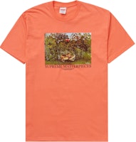 Supreme Masterpieces Tee Neon Orange