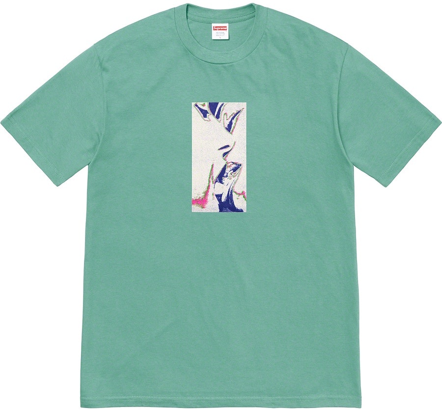 supreme-my-bloody-valentine-glider-tee-dusty-teal