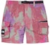 Order Supreme x The North Face Belted Cargo Pant Multicolour