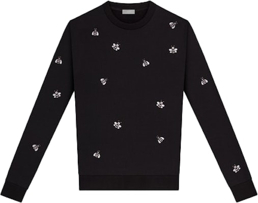 Kaws x top dior sweatshirt