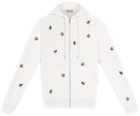 Dior 2025 kaws hoodie