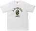 Lookbook BAPE Family Bag Pack (Mens) Black/Multi