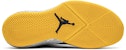 Air Jordan "Why Not?" Zer0.1 'Michigan' AA2510-405