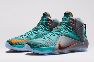 Nike LeBron 12 NSRL 684593-301 Order Nike LeBron 12 NSRL 684593-301