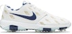 Nike Roshe Tour Golf NRG 'Wing It' Lelaki & Wanita CK1221-100