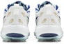 Details for Nike Roshe Tour Golf NRG 'Wing It' Lelaki & Wanita CK1221-100