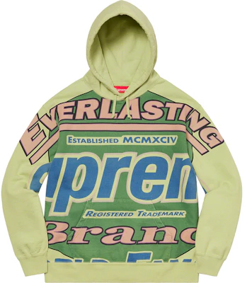 Supreme 2025 sage hoodie