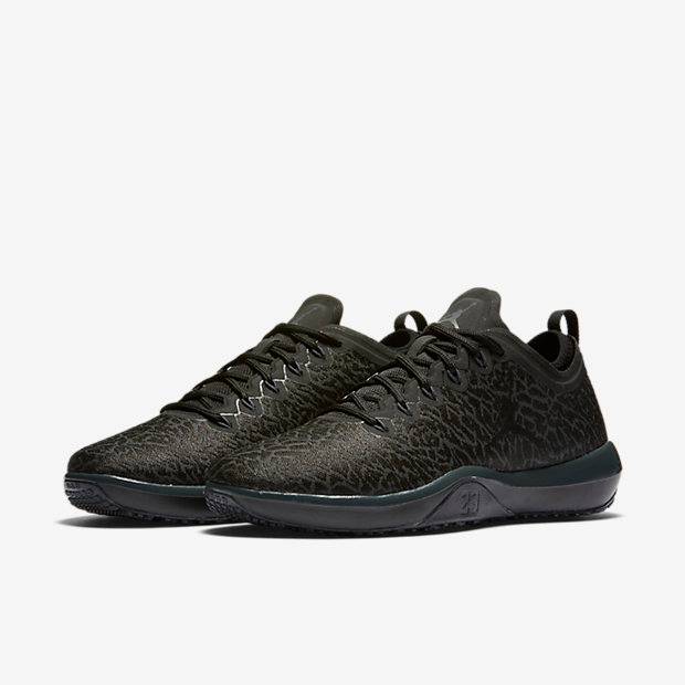 Air Jordan Trainer 1 Low Black/Black 