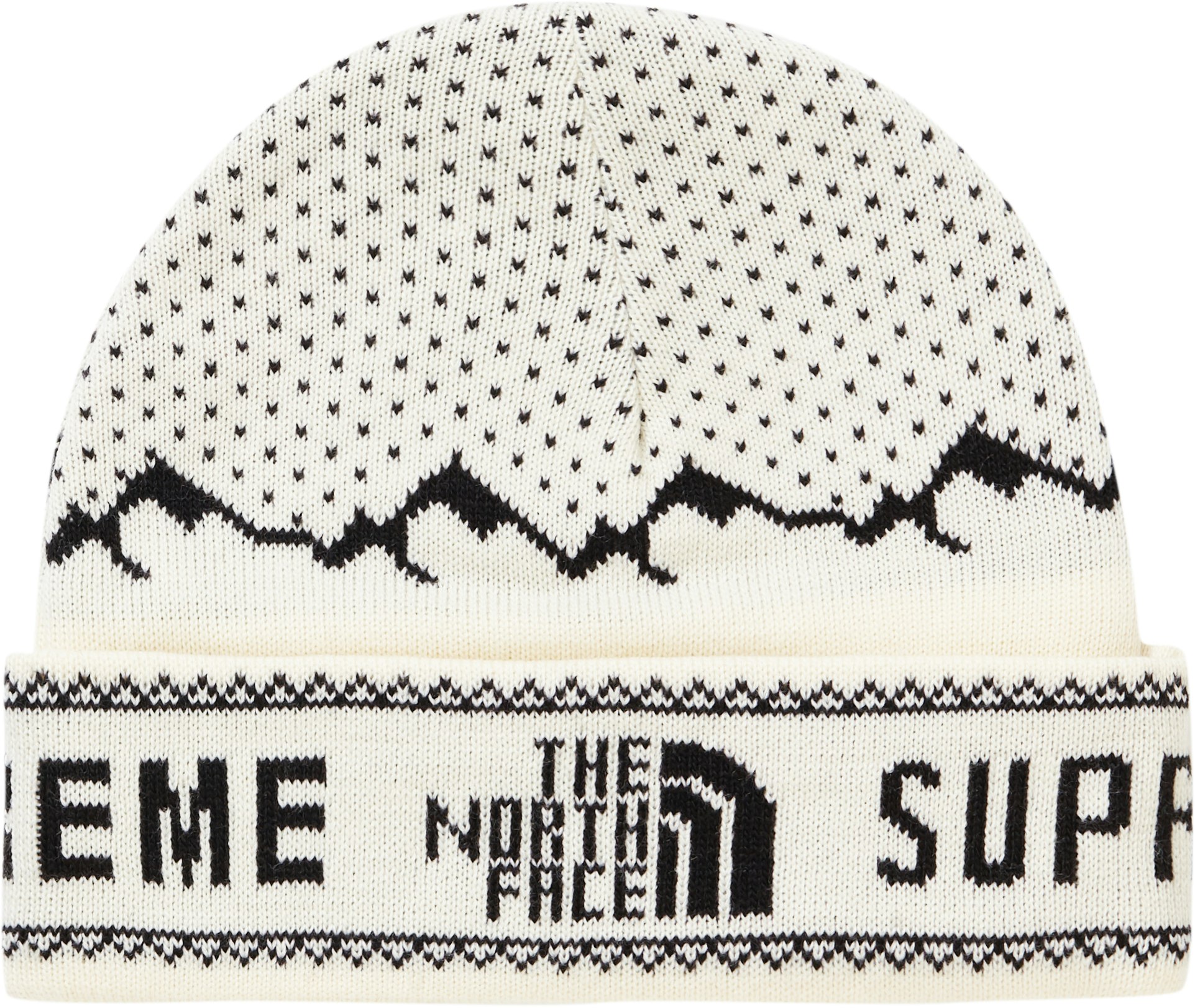 Supreme beanie north face hotsell