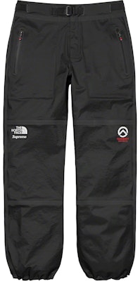 THE NORTH FACE Arc Logo Mountain Pant