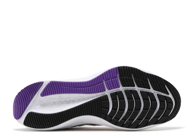 Nike Winflo 8 'White Flash Crimson' CW3419-101