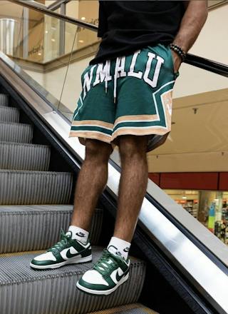 Nike Dunk Low 'Michigan State' DD1391-101