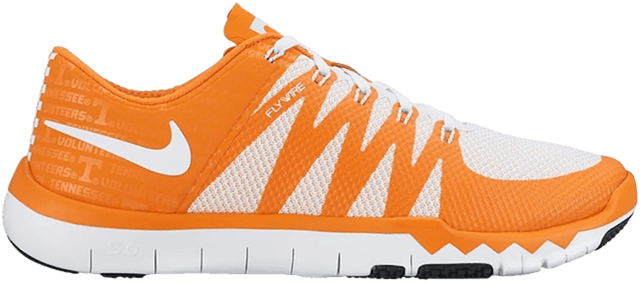 Nike Free Trainer 5.0 V6 Amp 723939 810 723939 810 Novelship