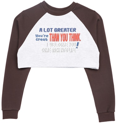 acmé de la vie Colors Scheme Setup Crop Sweatshirt Brown Buy acmé de la vie Colors Scheme Setup Crop Sweatshirt Brown