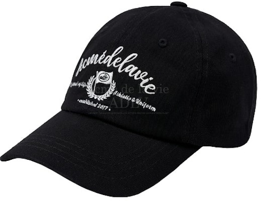 acmé de la vie Script Flag Logo Ball Cap Black Buy acmé de la vie Script Flag Logo Ball Cap Black